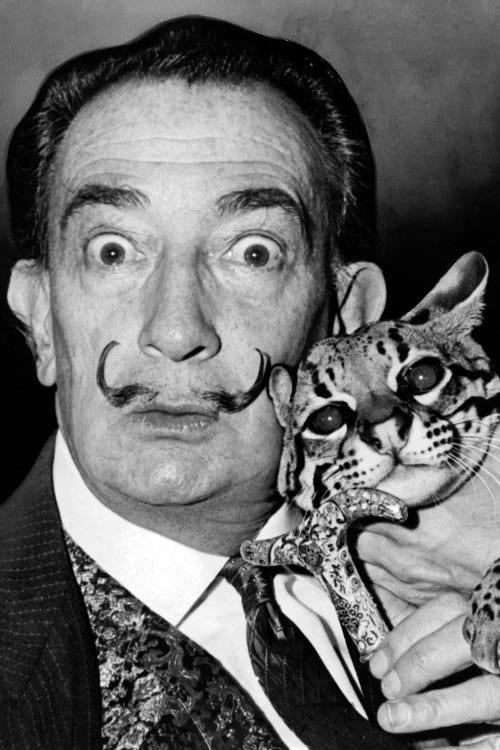 Portrait of Salvador Dali