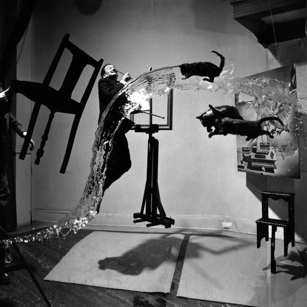 Large Black & White Art - Canvas Prints: Dali Atomicus, photo by Philippe Halsman