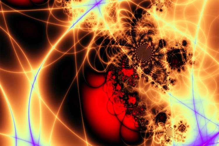 Beating Heart by Unknown Artist wall art