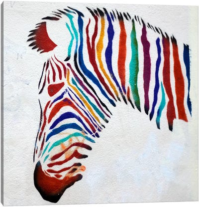 Zebra Graffiti Canvas Art Print - Zebra Art