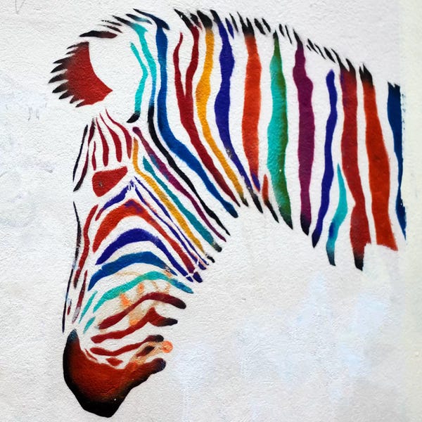 Zebras: Zebra Graffiti by Unknown Artist