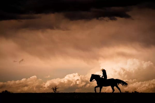 Cowboys & Cowgirls: Ride the Storm by Dan Ballard