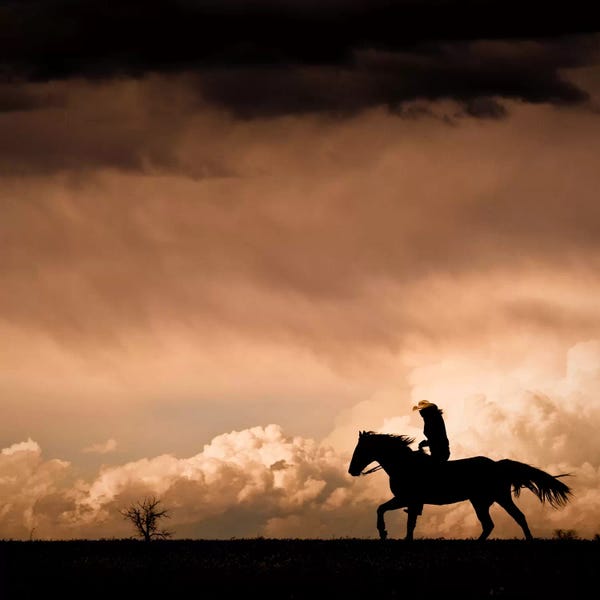 Western Décor: Ride the Storm #2 by Dan Ballard
