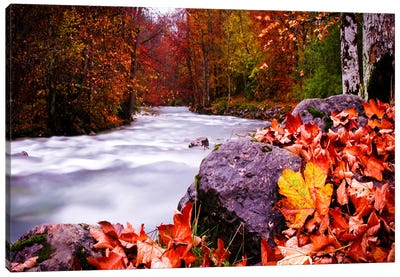 Autumn Flow Canvas Art Print - Serene Photography