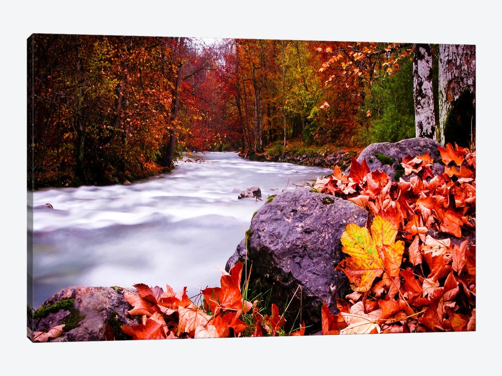 Autumn Flow 1-piece Canvas Print