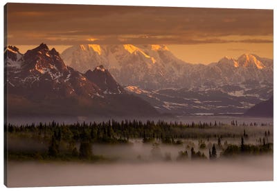 Moods of Denali Canvas Art Print - Mountains Scenic Photography