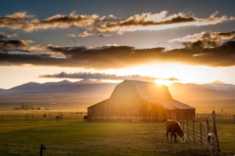 Wet Mountain Barn l by Dan Ballard wall art