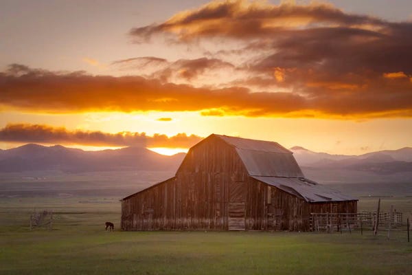 Large Photography - Canvas Prints: Wet Mountain Barn ll by Dan Ballard