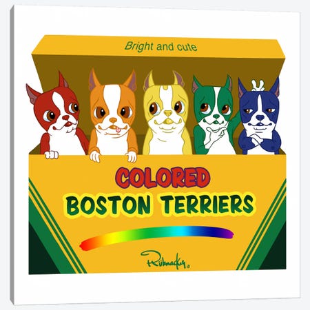 Box Of Terriers Canvas Print #12026} by Brian Rubenacker Canvas Wall Art