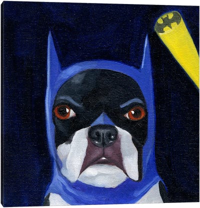 Boston Terriers Wearing Hats XVI (Batman) Canvas Art Print