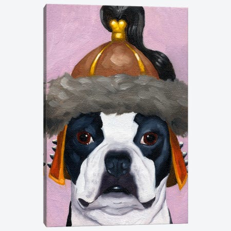 Boston Terriers Wearing Hats (Genghis Khan) Canvas Print #12039} by Brian Rubenacker Canvas Wall Art