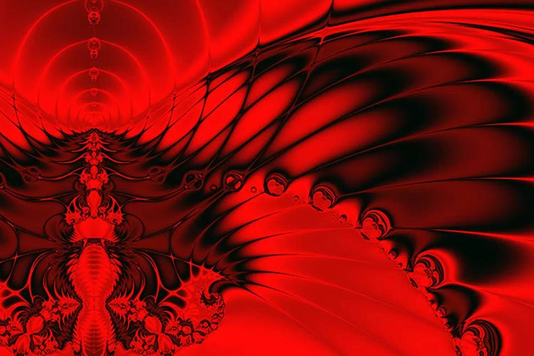 Red Falcon by Unknown Artist canvas print