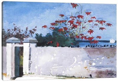 A Wall, Nassau, 1898 Canvas Art Print - Winslow Homer