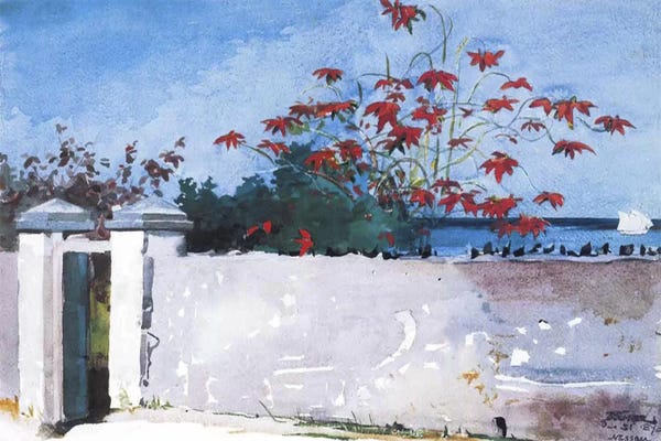 Realism: A Wall, Nassau, 1898 by Winslow Homer