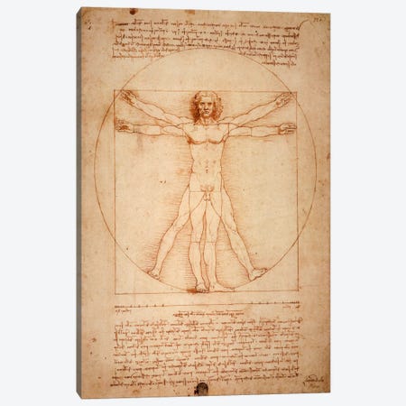 Vitruvian Man, c. 1490 Canvas Print #1277} by Leonardo da Vinci Canvas Wall Art