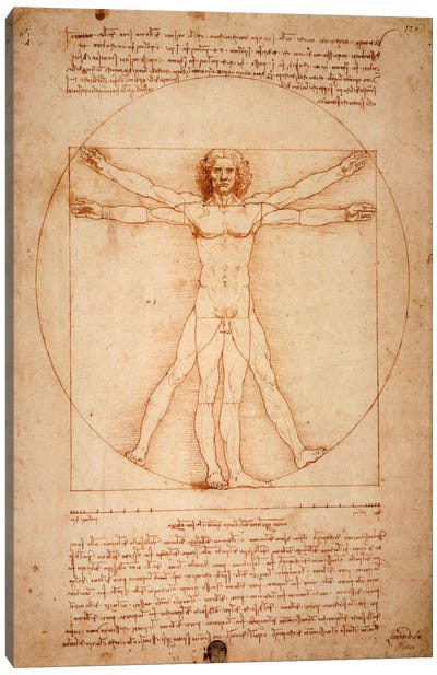 Vitruvian Man, c. 1490 Canvas Art Print - Educational Art