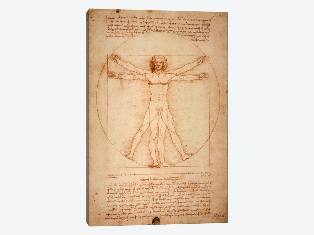 Vitruvian Man, c. 1490 by Leonardo da Vinci 1-piece Canvas Art Print