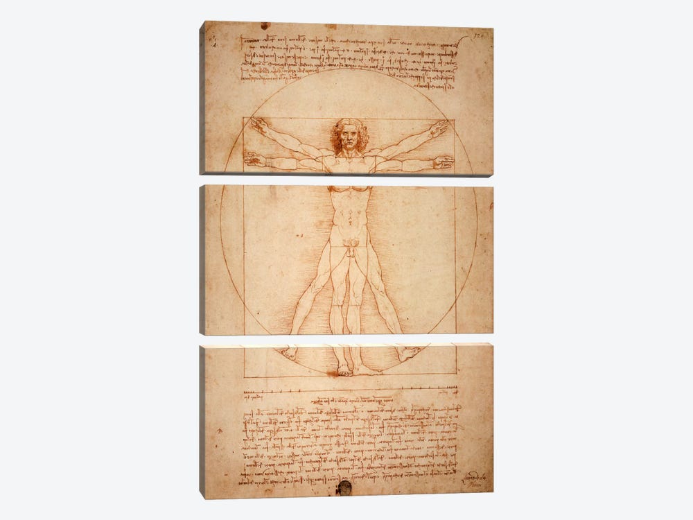 Vitruvian Man, c. 1490 by Leonardo da Vinci 3-piece Art Print