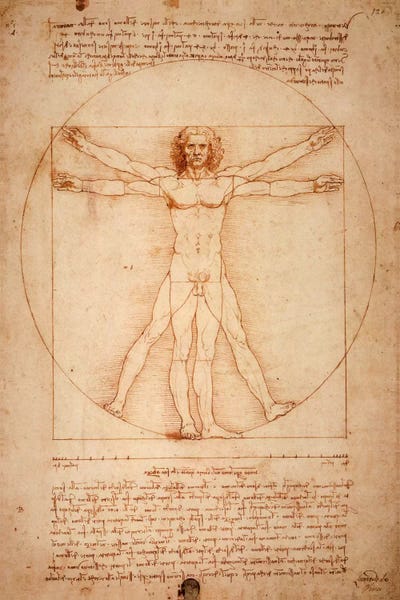Alternative Décor: Vitruvian Man, c. 1490 by Leonardo da Vinci