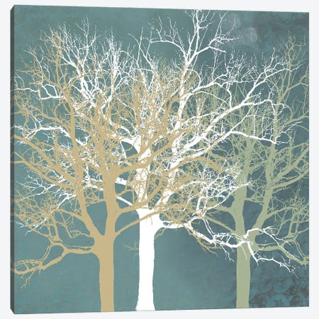Tranquil Trees Canvas Print #13274} by Erin Clark Canvas Wall Art