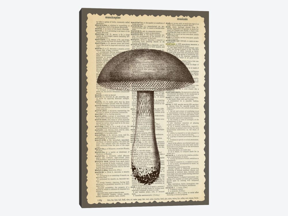 Mushroom by Erin Clark 1-piece Canvas Art