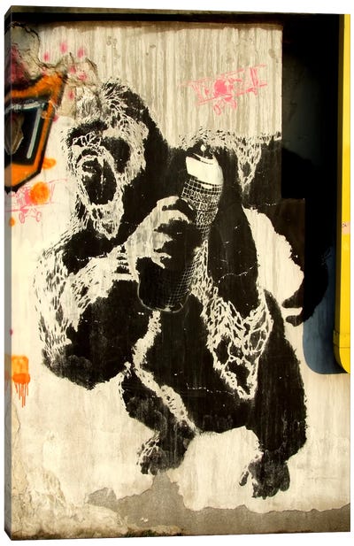 Kongs New Weapon Graffiti Canvas Art Print - Gorillas