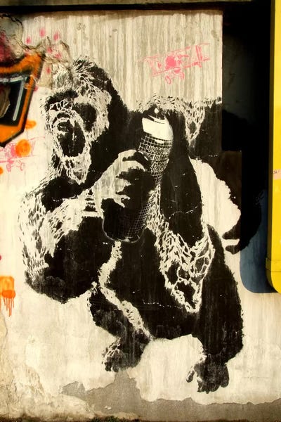 Gorillas: Kongs New Weapon Graffiti by Unknown Artist