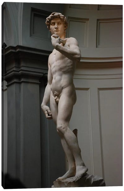 David Canvas Art Print - Michelangelo