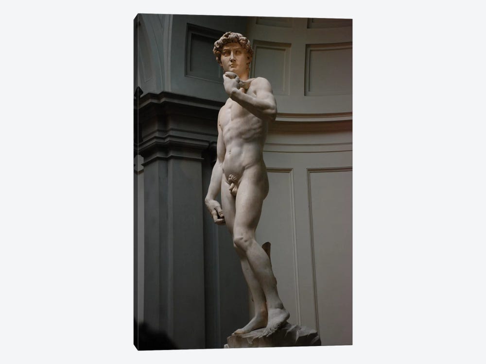 David by Michelangelo 1-piece Canvas Artwork