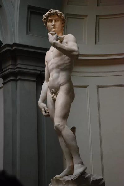Michelangelo: David by Michelangelo