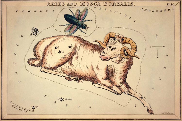 Aries and Musca Borealis, 1825 by Sidney Hall wall art