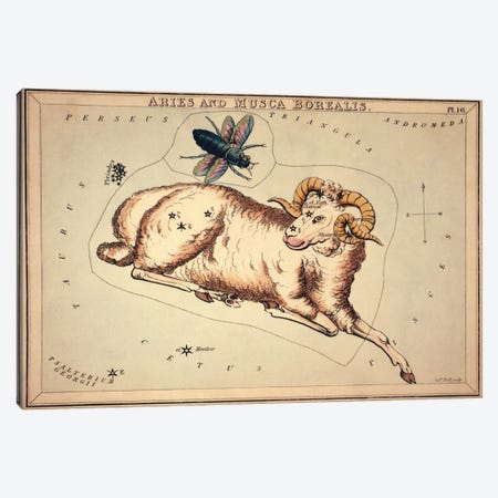 Aries and Musca Borealis, 1825 Canvas Print #13415} by Sidney Hall Canvas Art