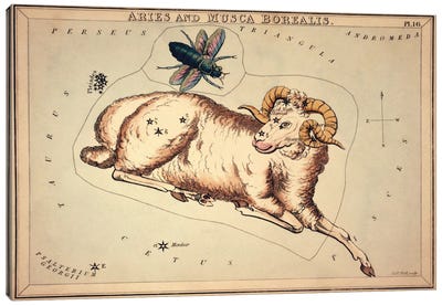 Aries and Musca Borealis, 1825 Canvas Art Print - Constellation Art