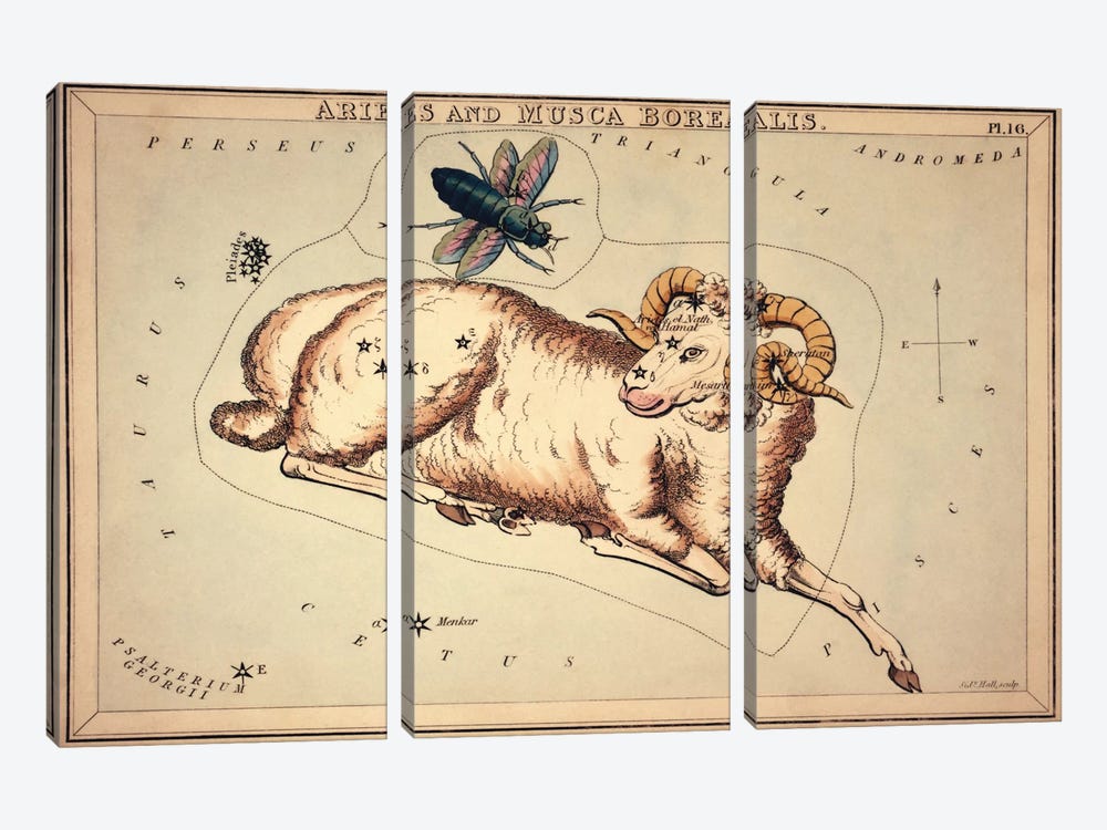 Aries and Musca Borealis, 1825 by Sidney Hall 3-piece Canvas Print