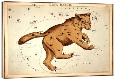 Ursa Major ll Canvas Art Print - Celestial Maps
