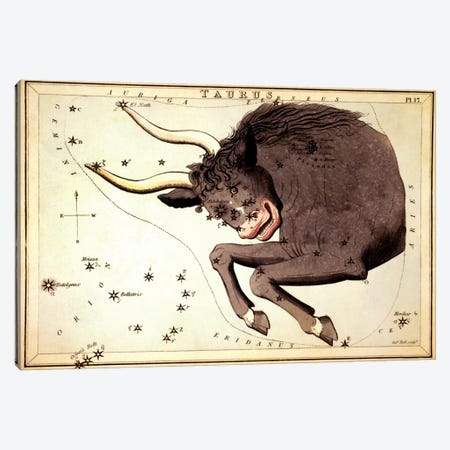 Taurus Constellation ll Canvas Print #13422} by Sidney Hall Canvas Art