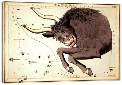Taurus Constellation ll Canvas Art Print - Zodiac Art
