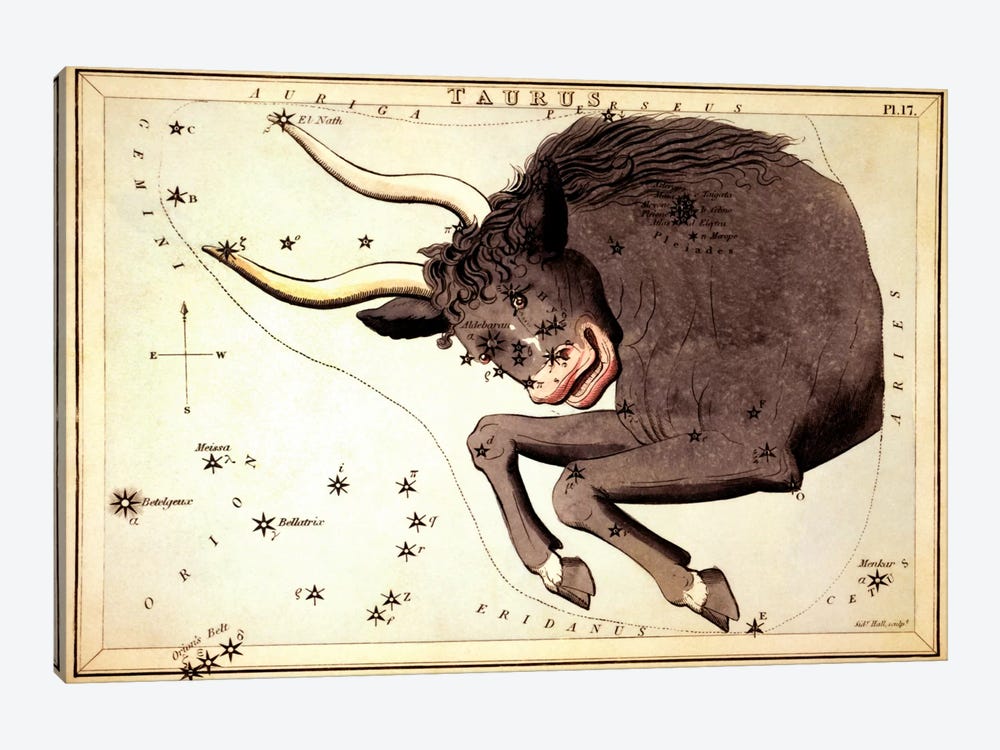 Taurus Constellation ll by Sidney Hall 1-piece Canvas Print