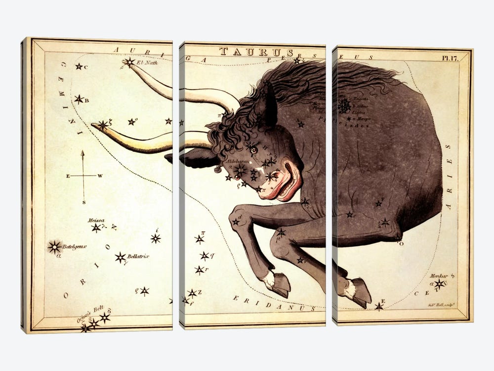 Taurus Constellation ll by Sidney Hall 3-piece Canvas Art Print