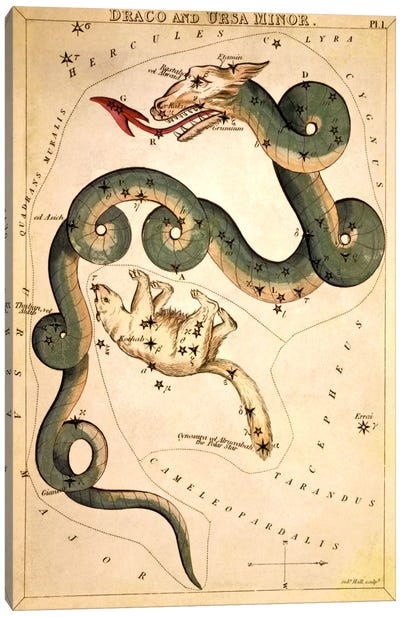 Draco and Ursa Minor Canvas Art Print - Celestial Maps