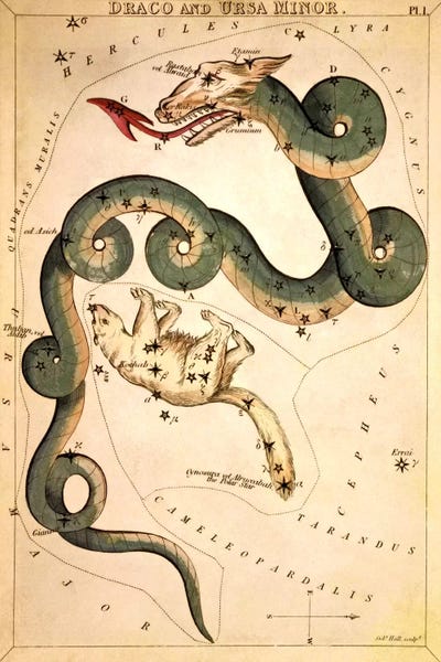 Polar Bears: Draco and Ursa Minor by Sidney Hall