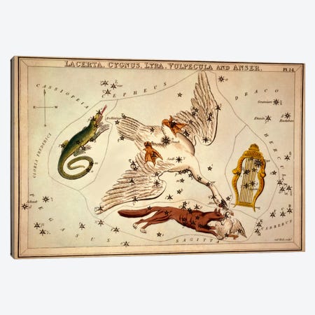 Lacerta, Cygnus, Lyra, Vulpecula and Anser Canvas Print #13430} by Sidney Hall Canvas Print