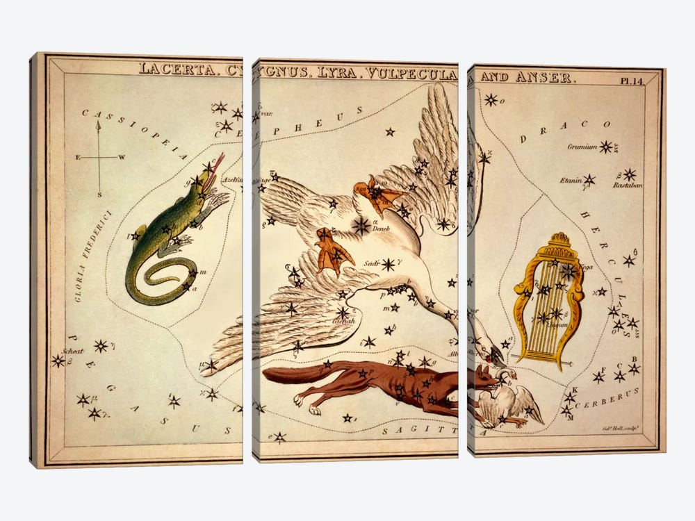 Lacerta, Cygnus, Lyra, Vulpecula and Anser by Sidney Hall 3-piece Canvas Art