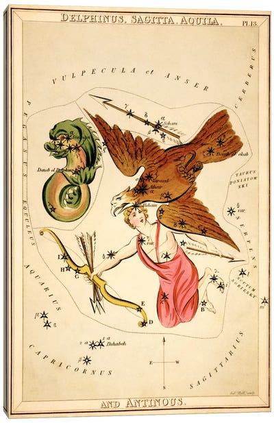 Delphinus, Sagitta, Aquila, and Antinous Canvas Art Print - Celestial Maps