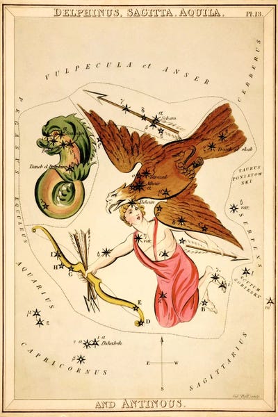 Astrology: Delphinus, Sagitta, Aquila, and Antinous by Sidney Hall