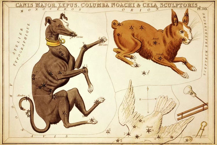 Canis Major, Lepus, Columba Noachi, and Cela Sculptoris