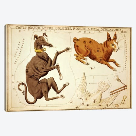 Canis Major, Lepus, Columba Noachi, and Cela Sculptoris Canvas Print #13432} by Sidney Hall Canvas Print