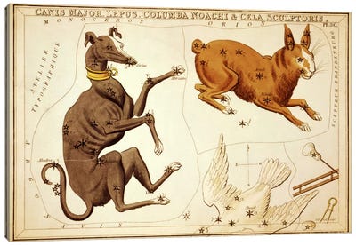 Canis Major, Lepus, Columba Noachi, and Cela Sculptoris Canvas Art Print - Sidney Hall
