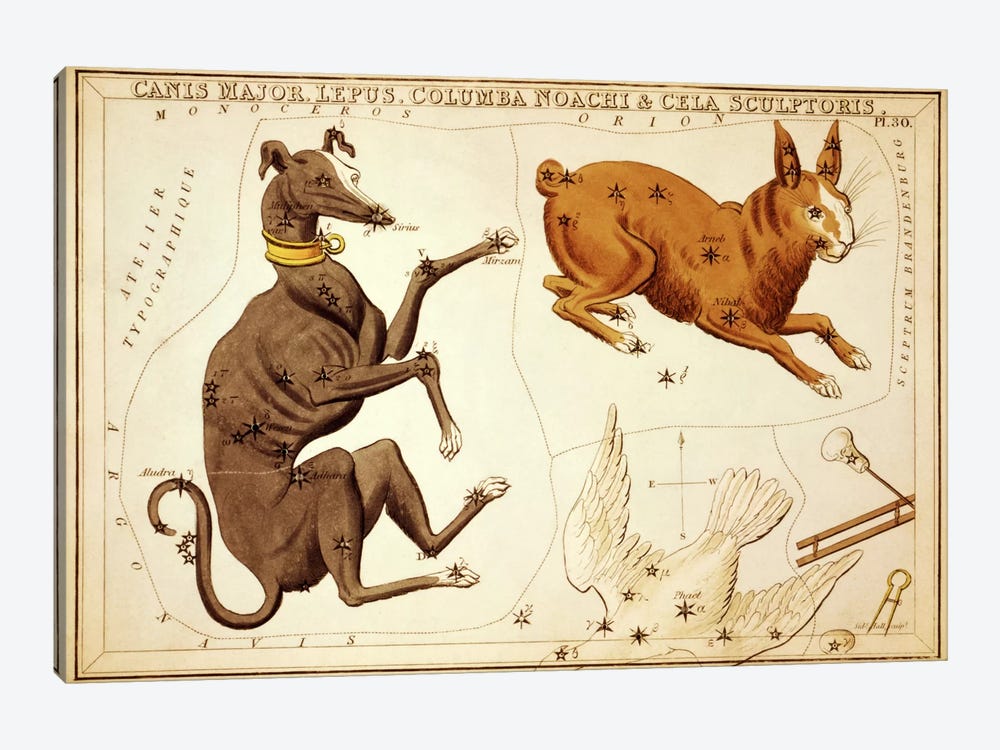 Canis Major, Lepus, Columba Noachi, and Cela Sculptoris by Sidney Hall 1-piece Canvas Artwork