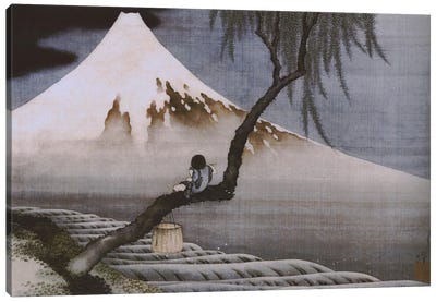 Boy on Mt Fuji Canvas Art Print - Snowy Mountain Art